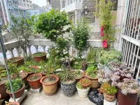 Wenling Xiaobianbian Inn Hotels near Dongxia Sand Beach