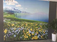 XIANGYUEMANKE HOTEL - วิว