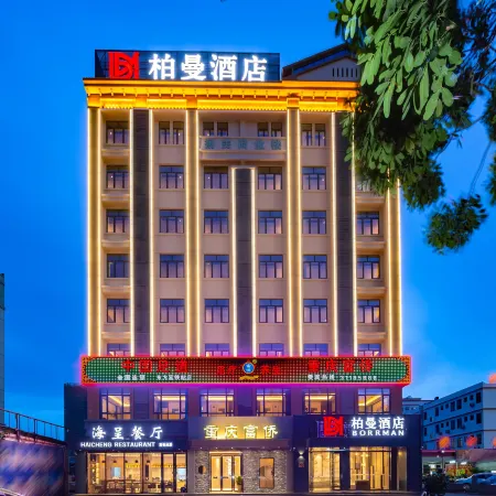 Borrman Hotel (Dongfang High-speed Railway Station Wanda Plaza)