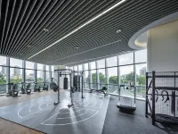 Starview Mansion - gimnasio