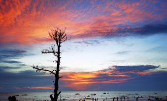 Weizhou Island M·Sea View Pool Homestay (Colorful Beach Branch)