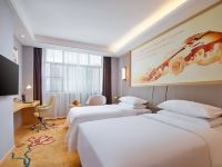 维也纳酒店(滁州政务中心店) - 高级双床房