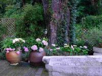 桂林和舍湖畔度假酒店 - 花园