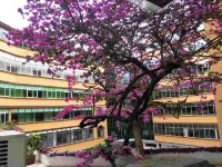 Jing Xi Hotel