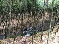 金佛山泗宏山庄 - 酒店附近