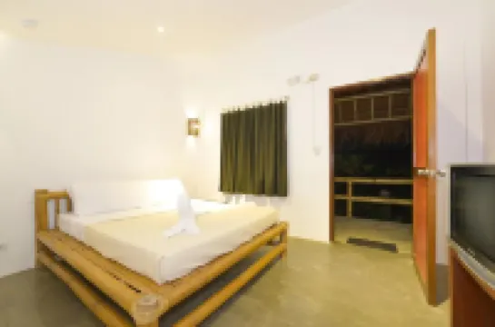 레이지 도그 베드 & 브렉퍼스트