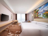 维也纳国际酒店(贵阳机场双龙空港店) - 高级大床房