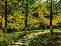 南雄石寨沟生态温泉度假村 - 酒店附近