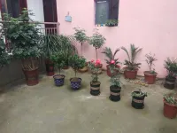 Chayashan Wild Vegetables Farm Stay - parking