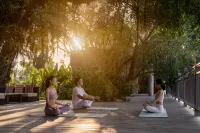 An Lam Retreats Saigon River Hotels in Thuận An