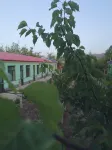 Zhongwei Tongjia Impression Homestay