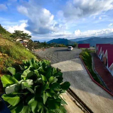 Kundasang Mount Garden