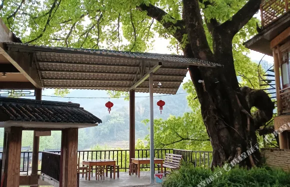 廣南大榕樹下民宿