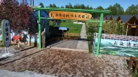 Zhaosu Wood Dyeing Pine On the grass B&B