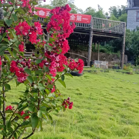 Shuyang Wankelai Inn