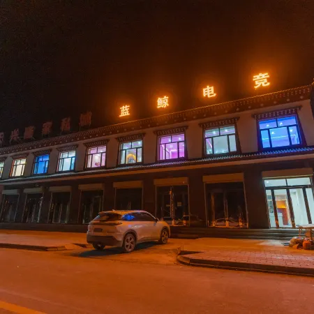 Blue Whale E-sports Homestay