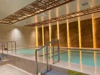 Changbai Mountain Linxi Volcanic Hot Spring Hotel - spa