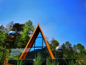 Guizhou Tongren Treehouse Huangu Homestay