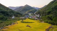 Banchu Qinggu Wei Hotel Các khách sạn ở Thanh Dương