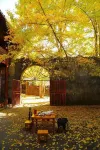 Fragrant Autumn Farmhouse Stay