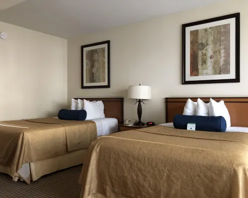 Mikado Hotel Hotels near Beverly Park