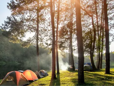 Nise Produits Refrigerés