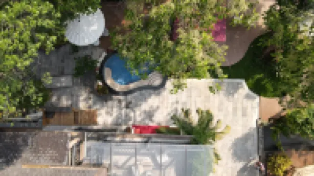 Xishuangbanna Bohai Birch Tree Hot Spring Yunshu