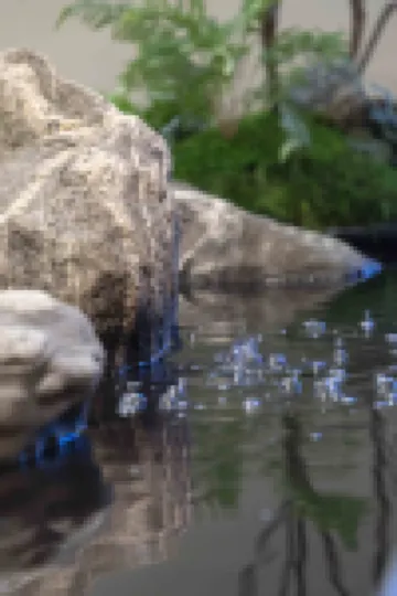 Leshan Youle Zaile Designer Hotel