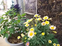 Chengjiang Xiaoxing Night Inn Các khách sạn ở Fuxian Lake Scenic Area