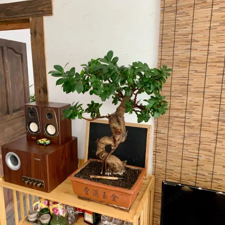 Hegangshanxia Homestay