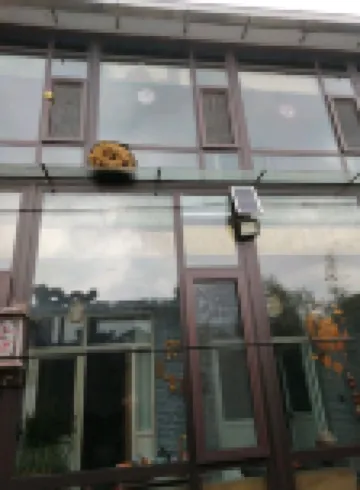 釜山村犀湖民宿