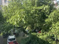 Boman Hotel Hotels near Xinan Jiao Daxue Xiwang College Library