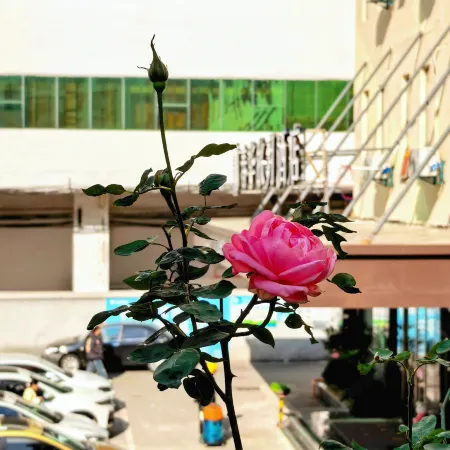 Chunhua qiuyue Hotel