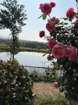 Cuiyuan Homestay