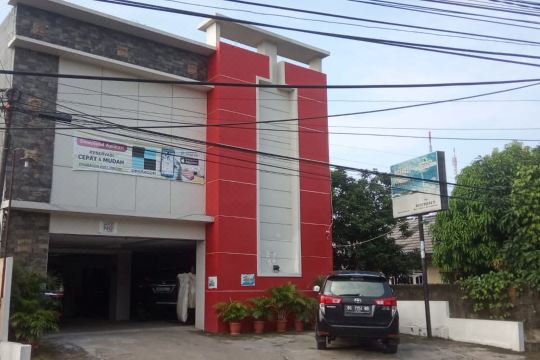D파라곤 트리코라 할인