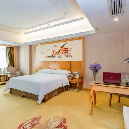 Vienna Hotel (Shaodong Jinlong Avenue)