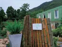 Taishun Yunlan Ranch Homestay - bar