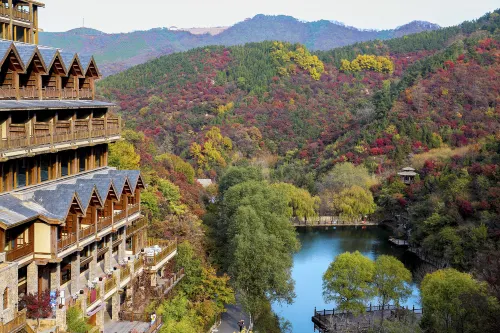 Dream Pillow Elegant Hotels in Jinan