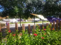 Spring Forest Golden Town SHOWSO Camping Base