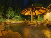 Ooedo Onsen Monogatari Premium Seiunkaku(Old:Yukai Resort Premium Seiunkaku) Hotels in Awara