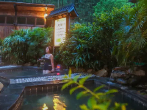 Tianmushan Hotspring Hotel Hotels in Yichun
