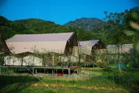 ravine stream Camp