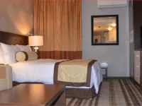 Lakewood Luxury Apartment