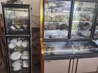 Baoshan Dazhou Homestay