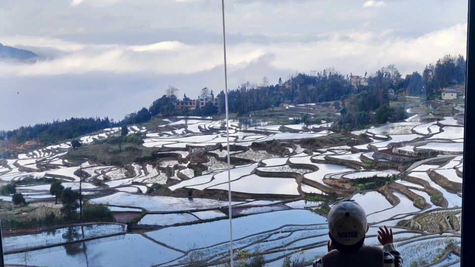 Rice Field Ideal. Blue Terrace Scenic Homestay