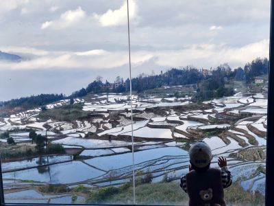 Rice Field Ideal. Blue Terrace Scenic Homestay
