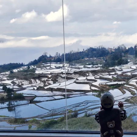Rice Field Ideal. Blue Terrace Scenic Homestay