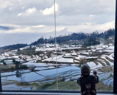 Ideal Blue Terraced Field Landscape Homestay No.3