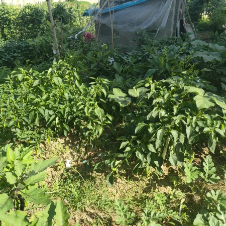 Jinyumanyuan Homestay (Guyan Huaxiang Scenic Spot)