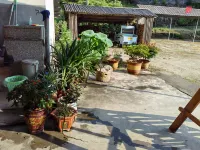 Shitai Yinji Homestay - Bondegårdsophold
